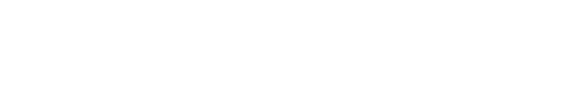 Bacheca - Bluenext Academy